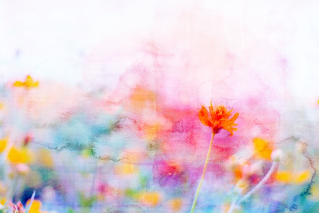 Abstract 7